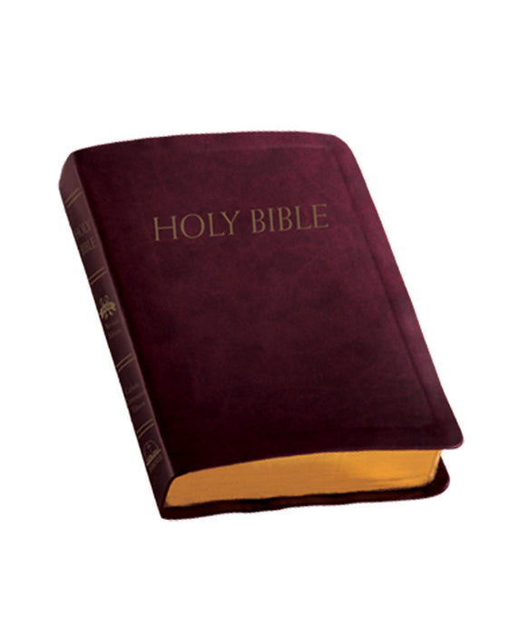 Catholic Edition-New American Bible Revised edition