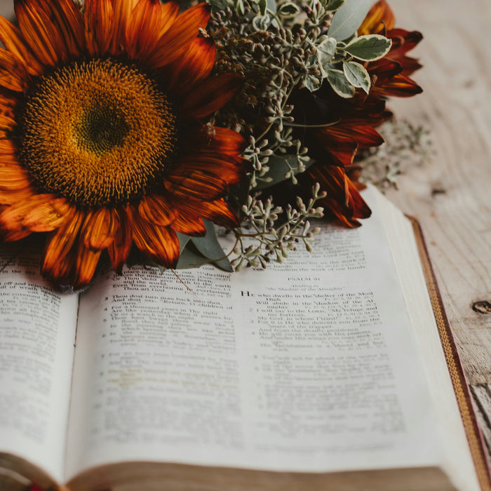 Feast Day Gift Ideas for the Most Popular Saints of Fall