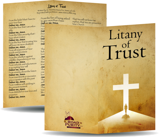 Jesus I Trust in You: A 30-Day Personal Retreat with the Litany of Trust